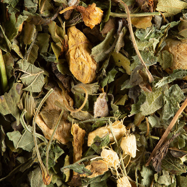 tisane-magic-ginger.jpg