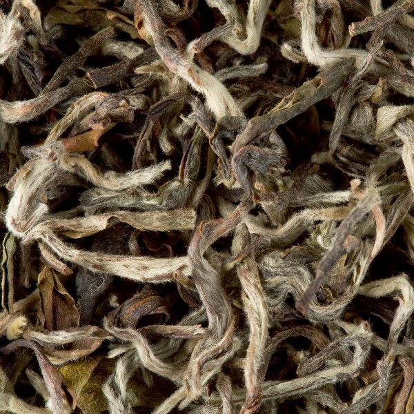 tea-from-nepal-himalaya-shangri-la.jpg