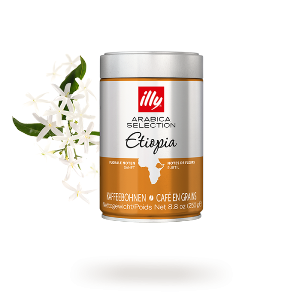 Lata Café Illy en Grano Etiopia 250 gr